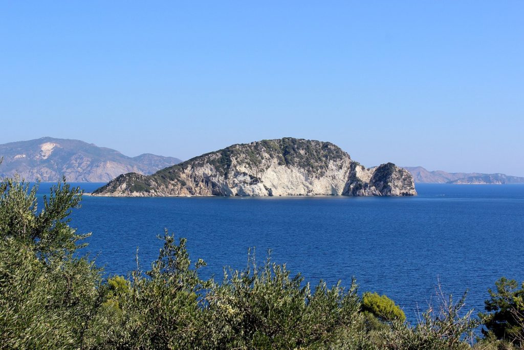 Die bewaldete Insel Marathonisi im blauen Wasser der Bucht von Laganas, im Vordergrund Gebüsch