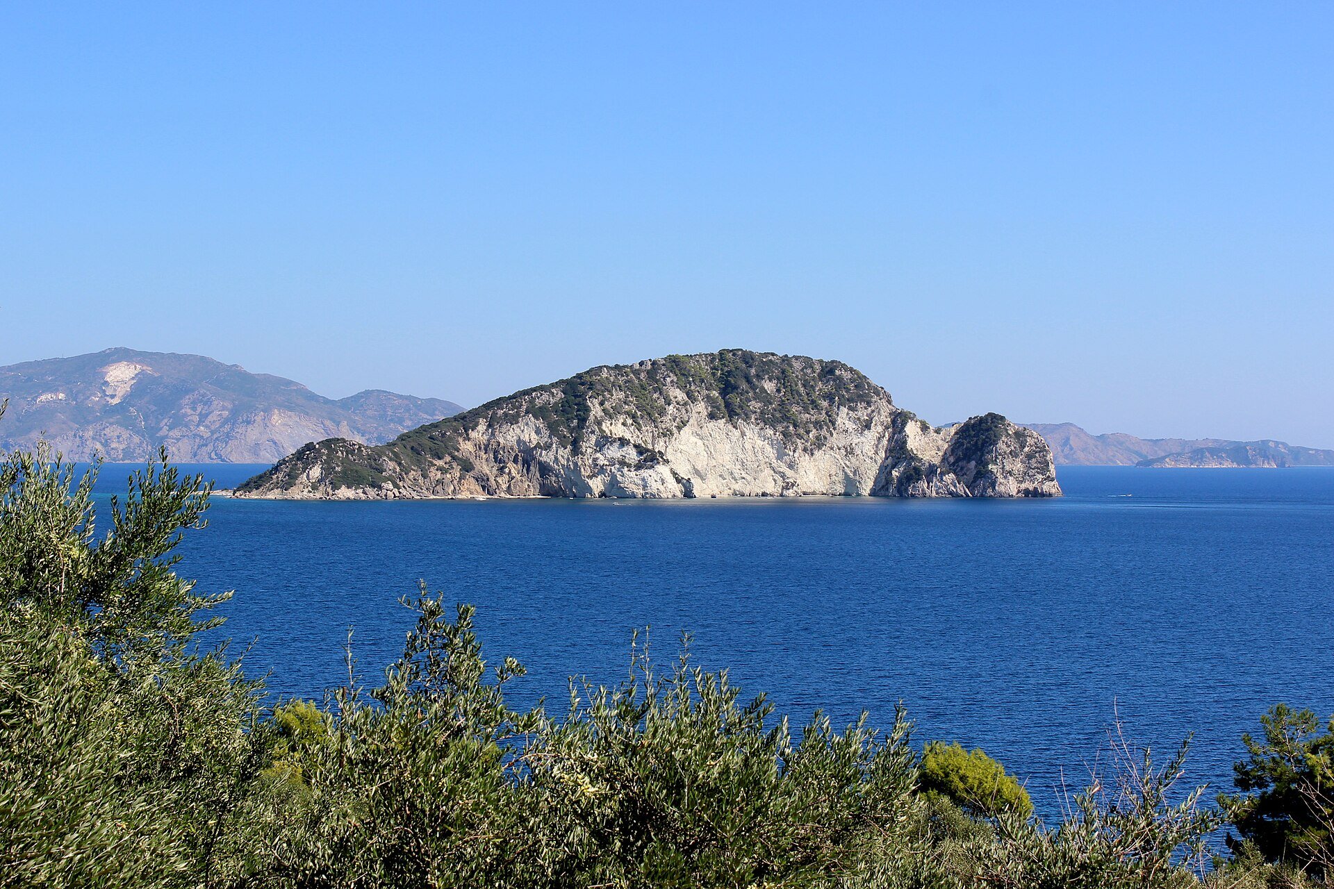 Die bewaldete Insel Marathonisi im blauen Wasser der Bucht von Laganas, im Vordergrund Gebüsch