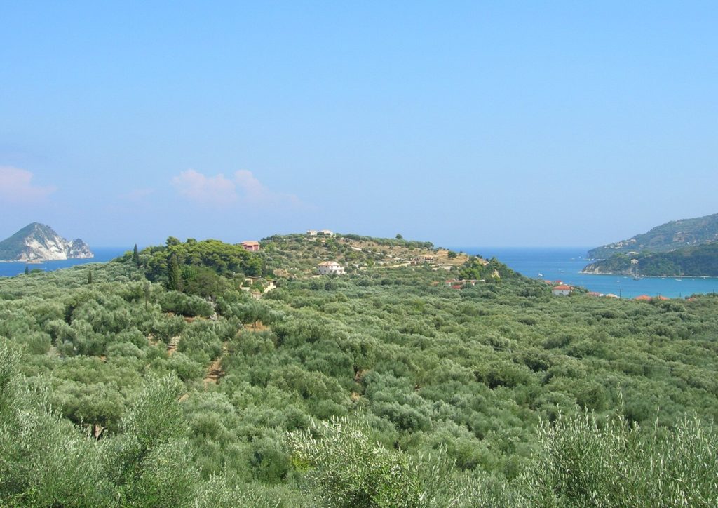 Hügel mit Olivenbäumen über der Bucht von Keri im Süden von Zakynthos, am Horizont links die Insel Marathonisi