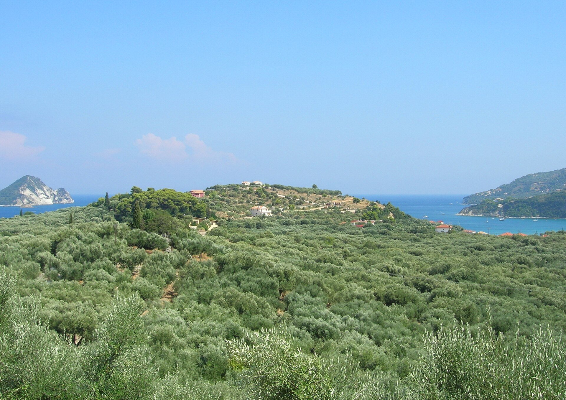 Hügel mit Olivenbäumen über der Bucht von Keri im Süden von Zakynthos, am Horizont links die Insel Marathonisi