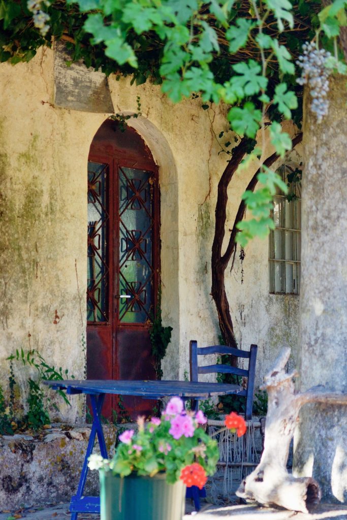 Alte Holztür mit Weinlaub und Blumentöpfen im Kloster Panagia Anafonitria