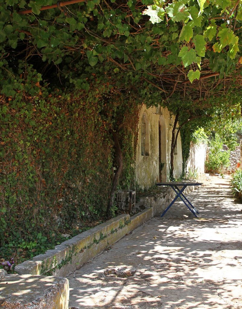 Schattiger Weg unter einer Weinlaube entlang einer efeubewachsenen Mauer im Kloster Anafonitria