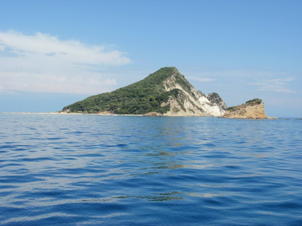 Die grün bewachsene Insel Marathonisi mit hellen Felsen