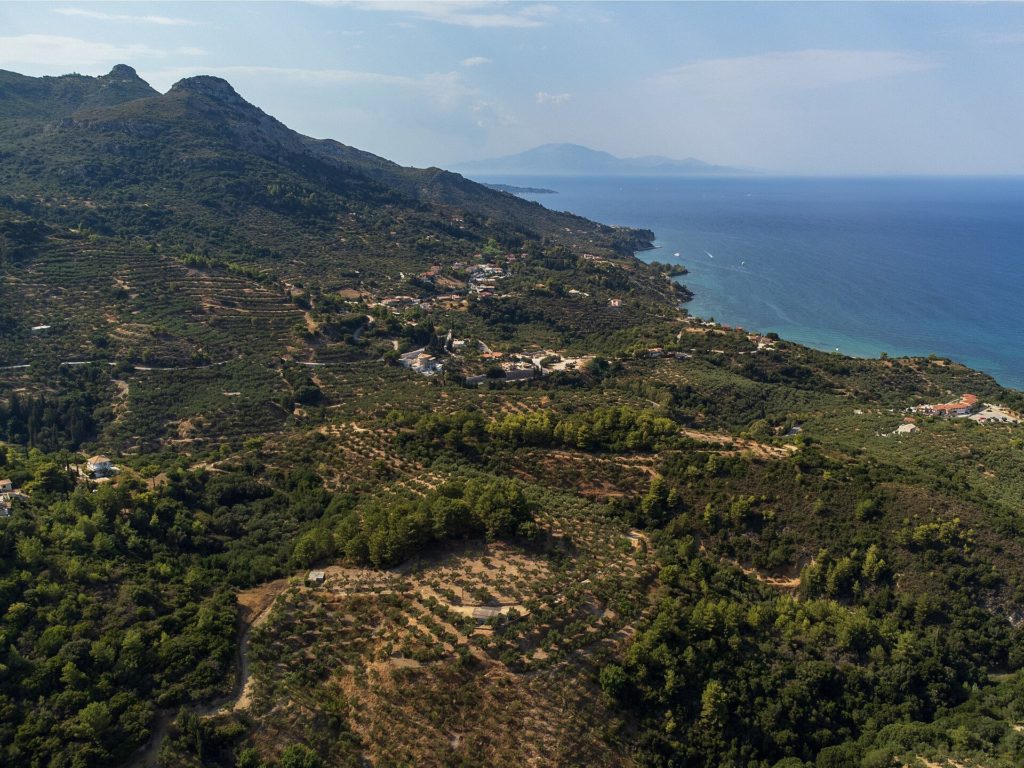 Luftbild von bewaldeten Hügeln und Olivenhainen an der Küste im Nordwesten von Zakynthos